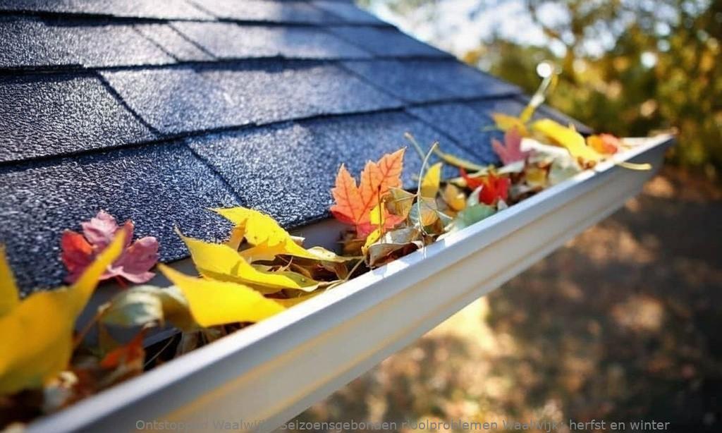 Seizoensgebonden rioolproblemen Waalwijk: herfst en winter