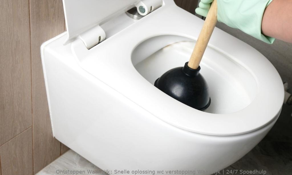 Snelle oplossing wc verstopping Waalwijk | 24/7 Spoedhulp